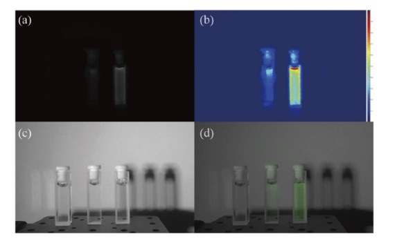 Different concentrations of the fluorescent reagent indocyanine green. Images show (a) a near-infrared fluorescence image, (b) the intensity distribution of the near-infrared fluorescence image, (c) color image of the samples under visible illumination, and (d) a fusion image combining the color image and the near-infrared fluorescence image. Courtesy of Chenyoung Shi, Chinese Academy of Sciences.
