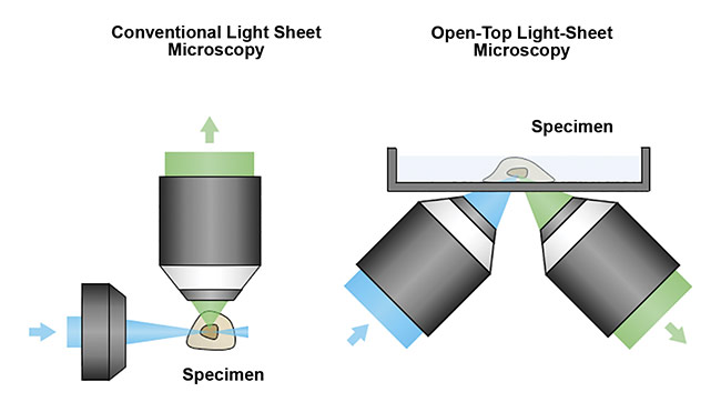 Figure 5. A schematic of a conventional light sheet microscope (left) and an open-top light-sheet microscope (right). Unlike the conventional design, the open-top geometry enables simple mounting of specimens on top of the system, serving as a flatbed scanner for tissues. In addition, the angled objectives place no constraints on the lateral dimensions of the specimen, which is critical for clinical applications in which tissues often have large lateral dimensions. Courtesy of A. Glaser/University of Washington Molecular Biophotonics Laboratory.