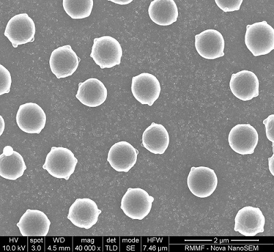 These tiny hollow spheres known as photonic crystals, inspired by the bumpy surface of butterfly wings, are the innovative core of the new hydrogen sensor. Image magnified 40,000 times. Courtesy of RMIT University. 