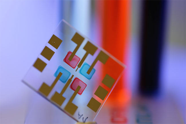 Color-selective organic light sensors produced by inkjet printing with semiconducting inks. Courtesy of Noah Strobel, KIT.