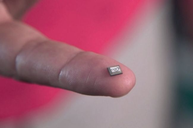 QRANGE prototype chips. Courtesy of Euro News.