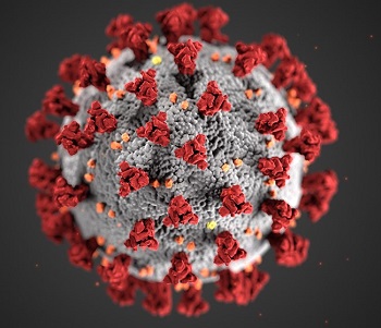 An illustration showing the ultrastructural morphology exhibited by coronaviruses. Courtesy of the Centers for Disease Control and Prevention.