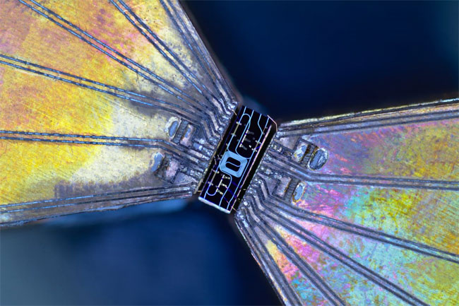 Chip-Based Quantum Key Distribution Could Secure Quantum Networks Cost-Effectively