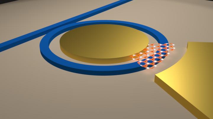 Illustration of an integrated microring resonator based low-loss optical cavity with semiconductor 2D material on top of the waveguide. Courtesy of Ipshita Datta and Aseema Mohanty, Lipson Nanophotonics Group/Columbia Engineering.