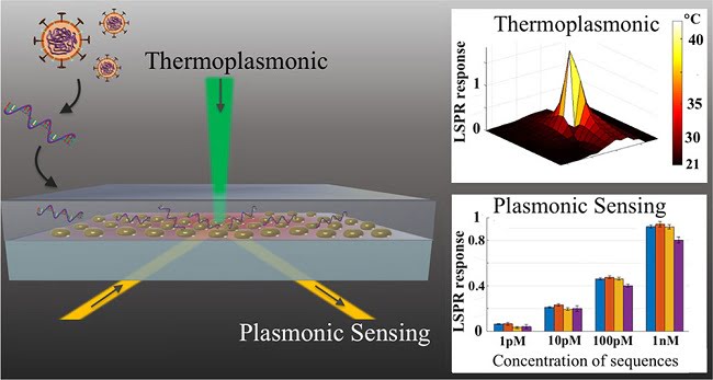 The sensor uses an optical and a thermal effect to detect the COVID-19-Virus safely and reliably. Courtesy of American Chemical Society/doi: 10.1021/acs.nano.0c02439.