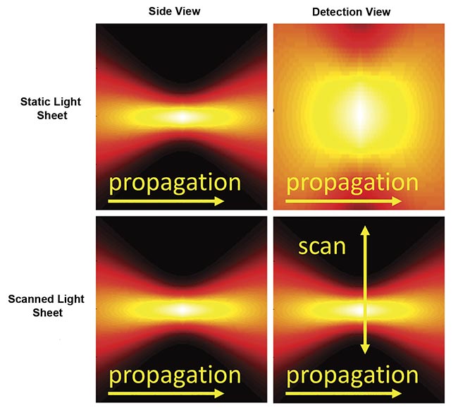 Figure 3. Instantaneous illumination intensity for static (top) and scanned (bottom) Gaussian light sheets as seen from the side and from the detection objective. The illumination optics would be to the left side. Courtesy of ASI.