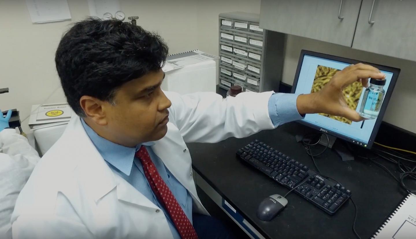UCF Engineering Professor Sudipta Seal has been a pioneer in the world of nanostructures and their application to medicine. Courtesy of UCF College of Medicine.