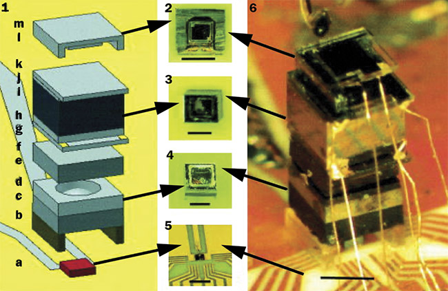 Figure 4. A chip-scale atomic clock, integrated with (from top to bottom) a photodiode, a Rb vapor cell made out of glass and silicon, lenses, filters, and a VCSEL. The scale bar (black line) in each subfigure indicates 1 mm and the entire package measures 4.2 × 1.5 × 1.5 mm3. Reprinted with permission from Reference 2. Courtesy of AIP Publishing.