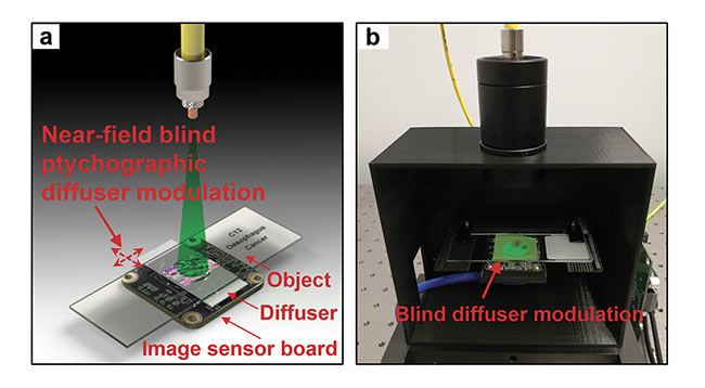  Figure 2. Near-field blind ptychographic diffuser modulation for lensless microscopy. A thin diffuser is placed between the specimen and the image sensor for lightwave modulation (a). By blindly moving the diffuser to various xy positions, a sequence of images can be captured, and they will be used to recover the complex object with high resolution and a large field of view. The prototype device where the diffuser is randomly moved to various xy positions using a low-cost, do-it-yourself stage (b). Courtesy of Guoan Zheng. 