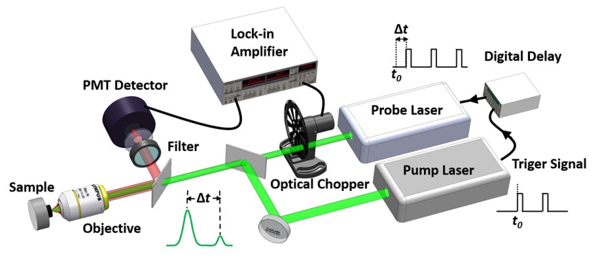Schematic of time-domain thermo-photoluminescence. The temperature-dependent photoluminescence is used to directly measure the temperature of the sample. Courtesy of S. Yue et al.