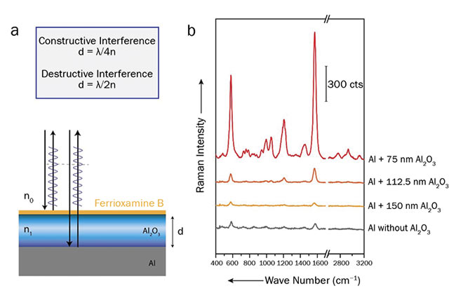 Figure 1. A layer stack of aluminum and aluminum oxide, causing an optical path difference for the beams reflected from the first and second interfaces (a). Raman spectra of ferrioxamine B recorded on aluminum chips coated with various thicknesses of aluminum oxide (b). Courtesy of Susanne Pahlow.