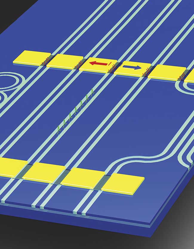 Graphene and other two-dimensional materials are being developed as active components on photonic integrated circuits. In this image, photonic modulators (bottom row) encode data in digital pulses carved from a continuous-wave input laser. These pulses are detected by chip-integrated photodetectors (top row). Other optical components such as ring filters and beamsplitters can be integrated on the same circuit. Courtesy of R.J. Shiue and D. Englund. 