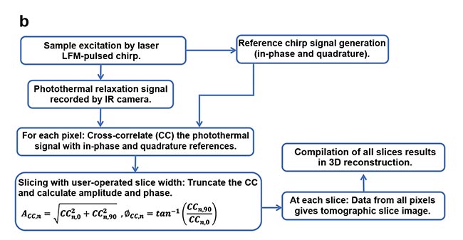 Figure 1. eTC-PCT (enhanced truncated-correlation photothermal coherence tomography) system configuration (a). Reconstruction algorithm (b). LFM: linear frequency modulation. Courtesy of University of Toronto.