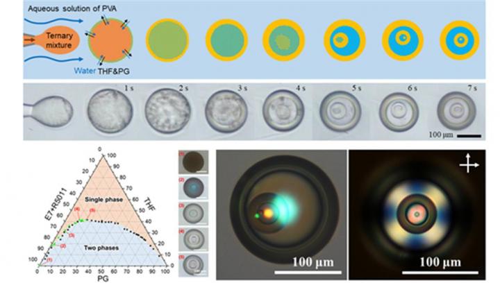 Liquid crystal particles with multiple layers formed through phase separation process developed by KIST-KAIST joint research team. Courtesy of Korea Institute of Science and Technology (KIST).