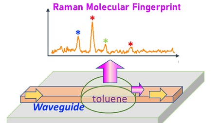 Photonic Chip Gives Raman Spectroscopy a Downsize