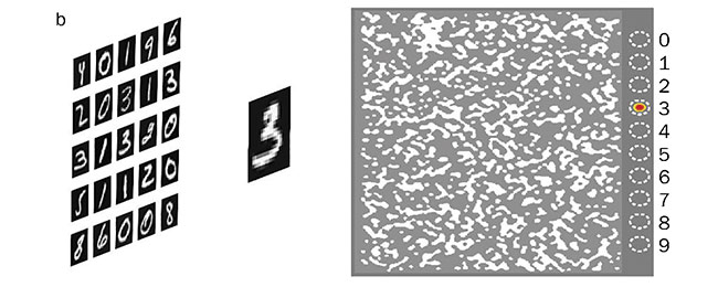 Zongfu Yu and colleagues at the University of Wisconsin-Madison developed a smart glass inspired by the brain’s neural network. The glass acts as a nanophotonic neural medium trained to recognize handwritten digits by focusing incoming light to various locations based on the image’s content (a). In practical terms, it processes images directly. When the number 3 was projected onto the glass, for example, the medium transformed the image into a wavefront of optical energy that exited at a specific output (b). Courtesy of University of Wisconsin-Madison.