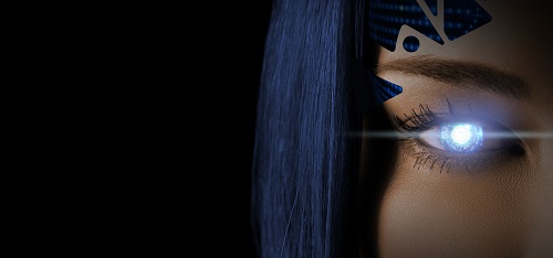 Seeing Through Joyce&rsquo;s Eyes