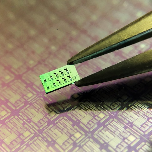 Silicon chip (approx. 3 mm x 6 mm) with multiple detectors. The fine black engravings on the chip's surface are photonic circuits interconnecting the detectors (and not visible to the naked eye). In the background a larger scale photonic circuit is positioned on a silicon wafer. Courtesy of Helmholtz Zentrum München.