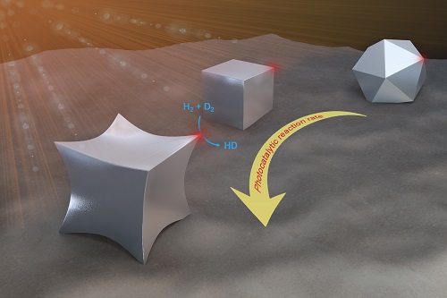 Shaping Light-Activated Nanocatalysts