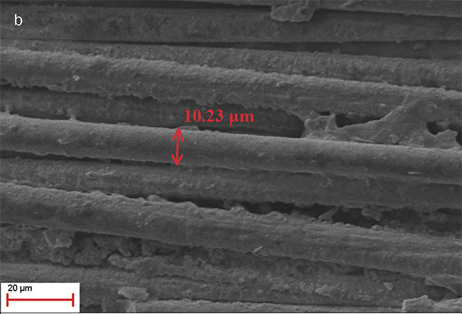 Figure 2. Scanning electron micros-copy image. GFRP area after UV laser micromachining (a). The resin has been removed, revealing the inner glass fiber mesh (magnification: 61×). Glass fiber thickness: 10.23 µm (magnification: 2.09K×) (b). Adapted from Reference 6. Courtesy of CC BY 4.0.