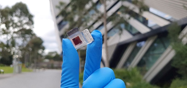 A prototype of a dye-sensitized solar cell prototype device. Courtesy of Monash University.