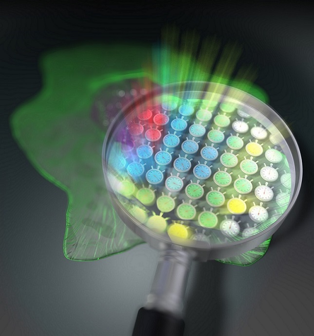 A visual representation of the fluorescence lifetime imaging technique developed at Tokushima University. Courtesy of Tokushima University.