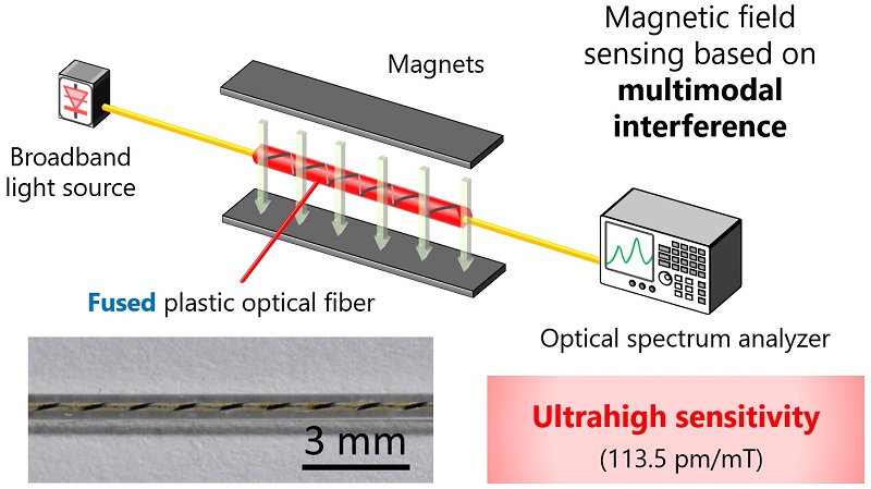 A magnetic field sensor based on multimodal interference in a 'fused' polymer optical fiber achieves an ultrahigh sensitivity of 113.5 pm/mT. Courtesy of Yokohama National University.
