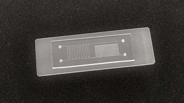 Prototype of Toppan’s microfluidic chip. Courtesy of TOPPAN.