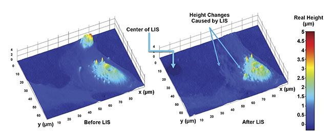 Laser-induced shock waves (LIS) in live astrocyte cells. The exact height changes caused by the event can be measured in various parts of the cells. Courtesy of University of California, Irvine.