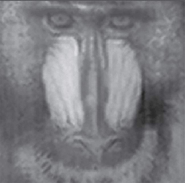 An image of a mandrill, corrected by conventional approaches (top) versus the image corrected by a technique called LIFT (bottom). Shack-Hartmann sensors used in AO systems typically only leverage the center of each variation in a wavefront. The LIFT technique also uses the shape of the spot to adjust the AO system’s active elements. The result is a sixteenfold improvement in spatial resolution. Courtesy of Imagine Optic.