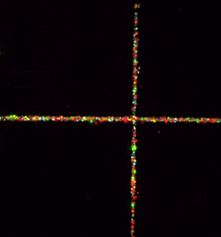 A microscopy image of the viewfinder grid with embedded nanodiamonds. The grid simplifies the ability of the user to locate the same area with each view. Courtesy of Beckman Institute/University of Illinois.