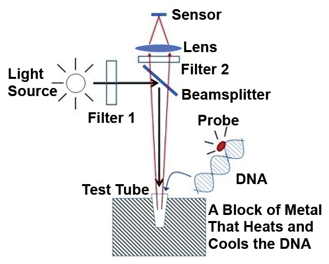 A diagram of a quantitative PCR (qPCR) instrument with optical filters in place. Courtesy of Iridian Spectral Technologies.