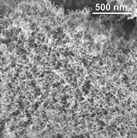 A SEM image of the sponge-like internal structure of the aerogel. Courtesy of the Laboratory for Multifunctional Materials/ETH Zurich.