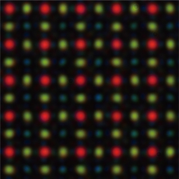 This color microscopy image shows the measured light profile on the sensor pixels under normal illumination. The efficiency of color sorting and focusing into each target pixel can be observed. Courtesy of Optica. 
