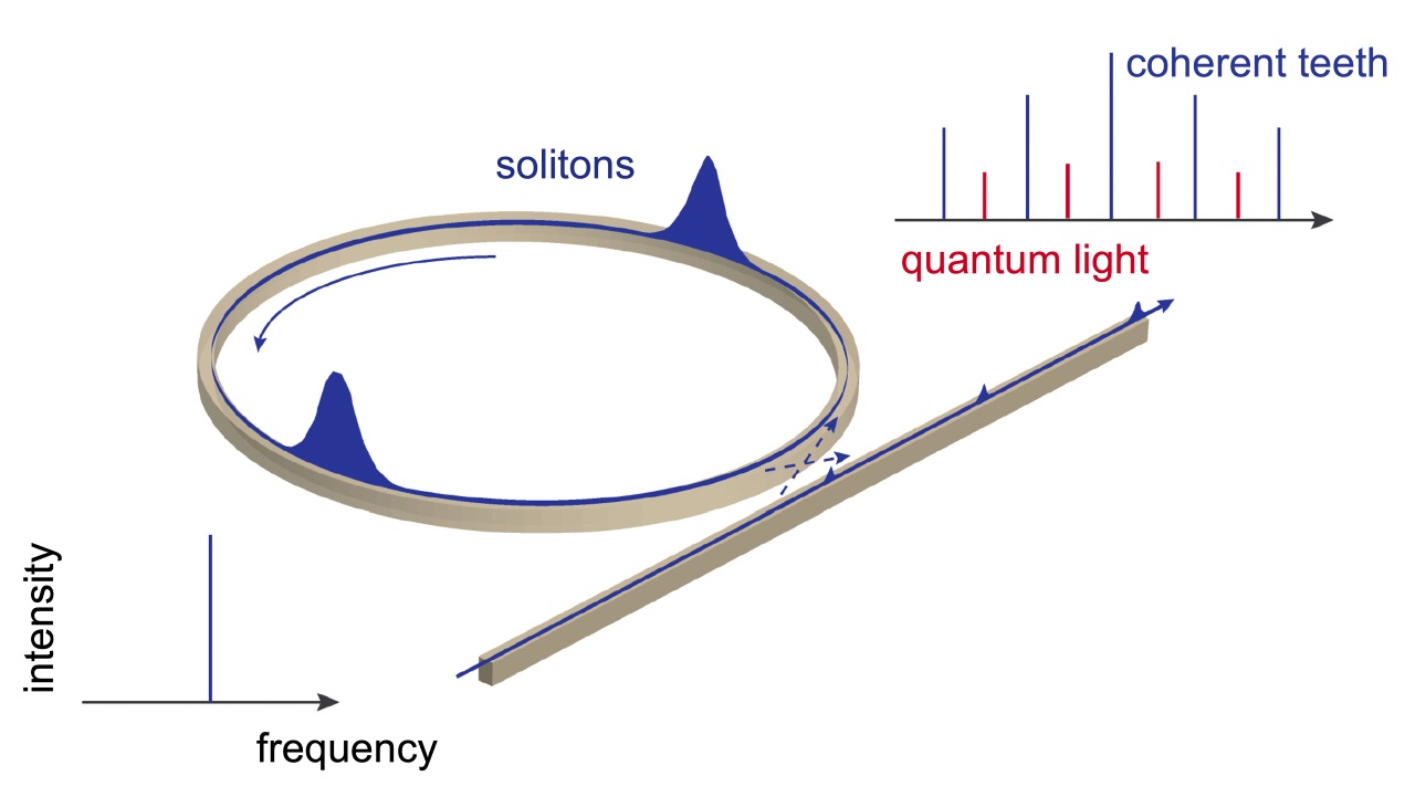 Conceptual diagram of the frequency comb and the microring, with solitons, that produces it. The frequency comb diagram shows both the coherent light teeth and the quantum light between those teeth. Courtesy of the Vuckovic Lab, Stanford University.