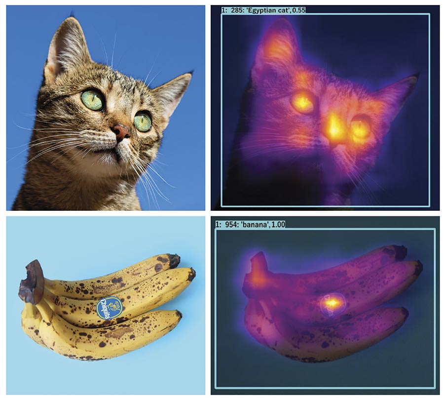 The use of AI on edge devices is growing, notably with the integration of convolutional neural networks (CNNs) to classify images. A CNN attention map depicts the features of an image and displays them next to a false-colored heat map. Courtesy of IDS.