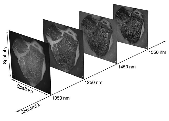 An image cube shows the results from a multispectral lighting setup comprising shortwave-IR LEDs and a grayscale InGaAs camera (top) that resolved various features of a raw pork chop, such as fat, muscle, and bone (bottom). Courtesy of Smart Vision Lights.