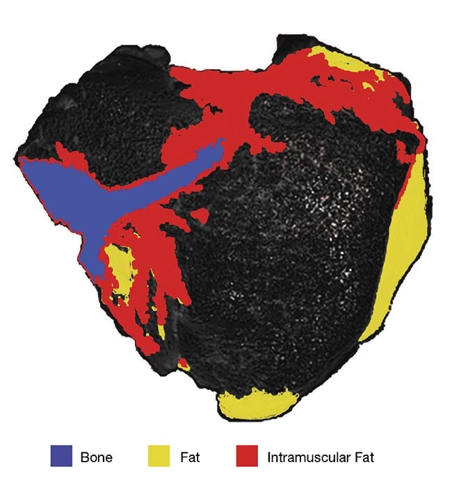 An image cube shows the results from a multispectral lighting setup comprising shortwave-IR LEDs and a grayscale InGaAs camera (top) that resolved various features of a raw pork chop, such as fat, muscle, and bone (bottom). Courtesy of Smart Vision Lights.