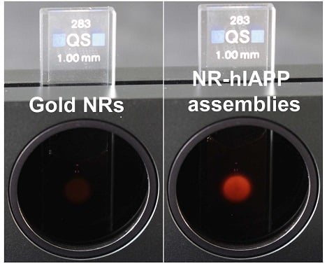 In the device on the left, gold nanorods permit a small amount of light through the two crossed-polarizers. This is akin to the signal showing that a drug designed to prevent amyloid plaques from forming is working. However, when the amyloid proteins assemble the gold nanorods into helices, a clear red light is visible through the polarizers, revealing that a drug has failed. Courtesy of: Jun Lu, Jilin University and University of Michigan.