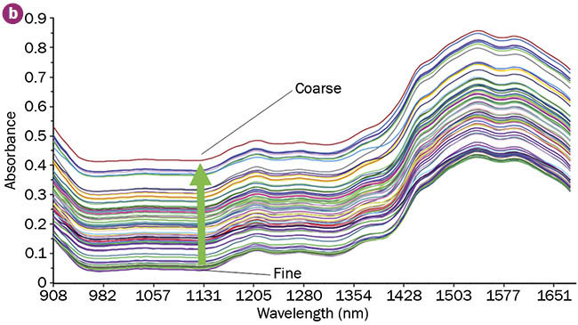 NIR spectroscopy is sensitive to variations of moisture content and particle size, which makes it an excellent tool for continuously monitoring intermediates in granulation and drying. Moisture variations are observed as changes at specific wavelengths (a), while particle size variations are reflected by baseline shifts (b). Courtesy of VIAVI Solutions.