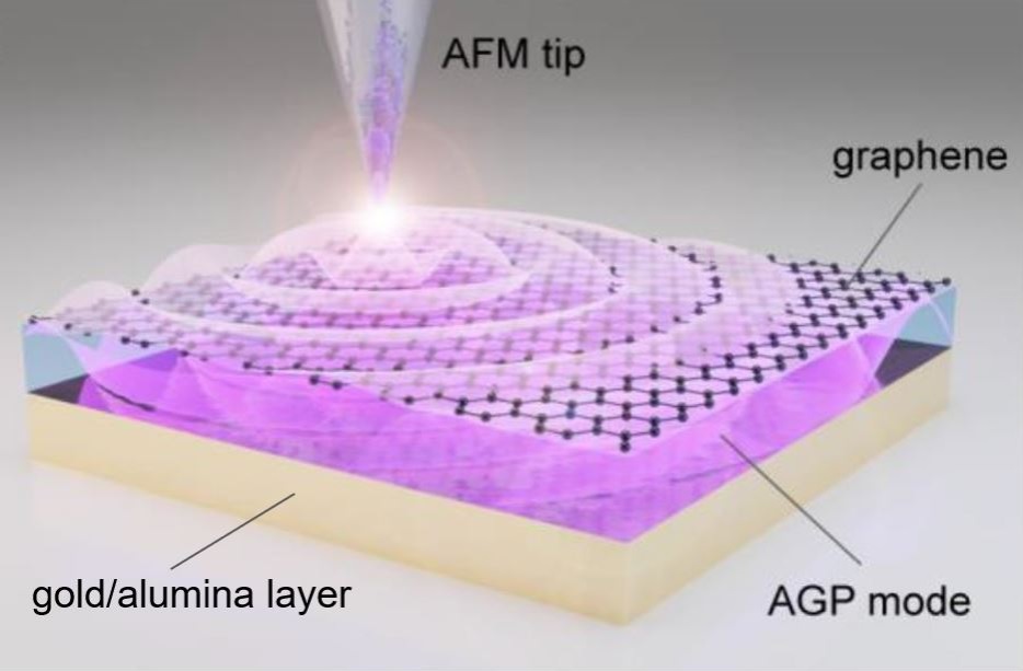 Laser-illuminated nano-tip excites the acoustic graphene plasmon in the layer between the graphene and the gold/alumina. Courtesy of Min Seok Jang, KAIST.