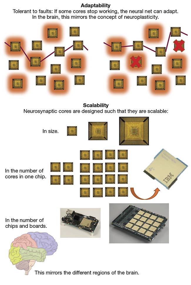 A unique aspect of neuromorphic computing involves its adaptability — if some cores stop working, the neural net can adapt. Another unique feature is scalability. Neurosynaptic cores are designed to be scalable, and they can mirror the various regions of the brain. Courtesy of Neuromorphic Sensing and Computing report, Yole Développement, 2019.