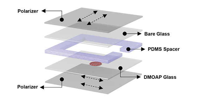 Figure 3. An exploded diagram of the layered makeup of the putative diagnostic device. The liquid crystal sensor on the DMOAP glass layer (red). PDMS: polydimethylsiloxane. Courtesy of professor Xiaoguang Wang/The Ohio State University.