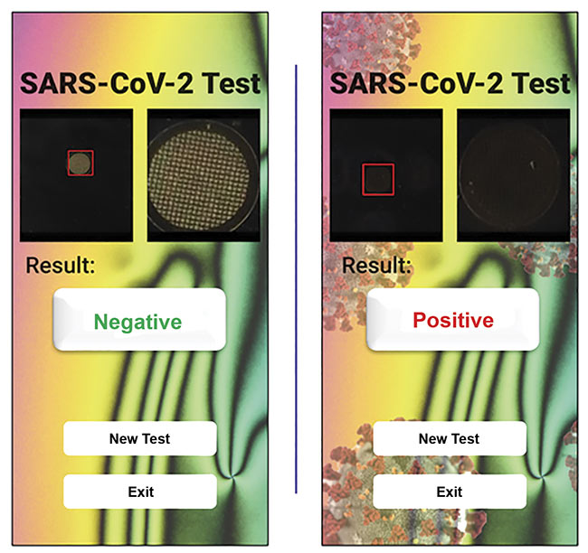 Figure 4. Smartphone screenshots indicate a negative result (left) and a positive result (right). Courtesy of professor Xiaoguang Wang/The Ohio State University.