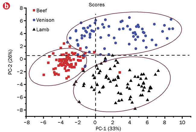 Figure 1. The mean Raman spectra of 30 samples each of lamb (black), venison (blue), and beef (red) appear very similar, yet contain statistically significant differences (a). This allows clear grouping of the species when viewed on an exploratory principal component analysis (PCA) scores plot (b). Adapted with permission from Reference 7. Courtesy of MDPI 2020, Keith Gordon/University of Otago.