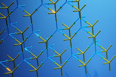 Polymer Boosts Accuracy of Expansion Microscopy Imaging