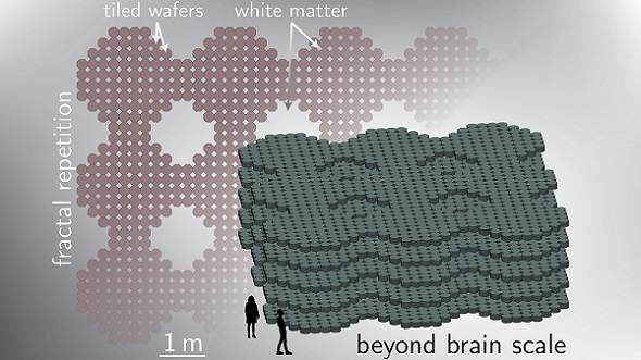 A large neural system with multiple large modules, each containing hundred to thousands of wafers, enabled by photonic communication and the efficiency of superconducting detectors and electronics. Not shown is the fiber-optic white matter that would be woven through the voids between the octagons in this example hierarchical tiling. Courtesy of Jeffrey Michael Shainline, NIST.