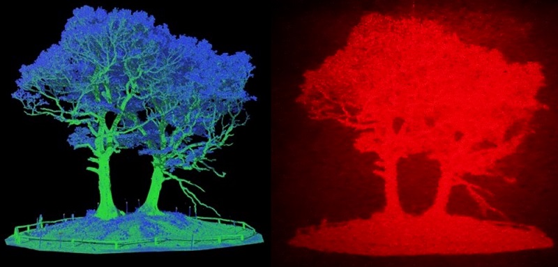 Left, an image of a tree based on LiDAR data. Right, the same image converted to a hologram. Courtesy of Jana Skirnewskaja.