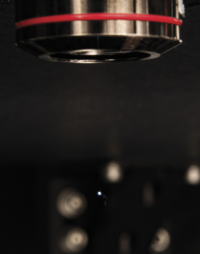 Cornell University researchers used pulses from a Ti:sapphire laser to reduce seizure propagation in rat brains. Courtesy of Seth Lieberman/Cornell University.