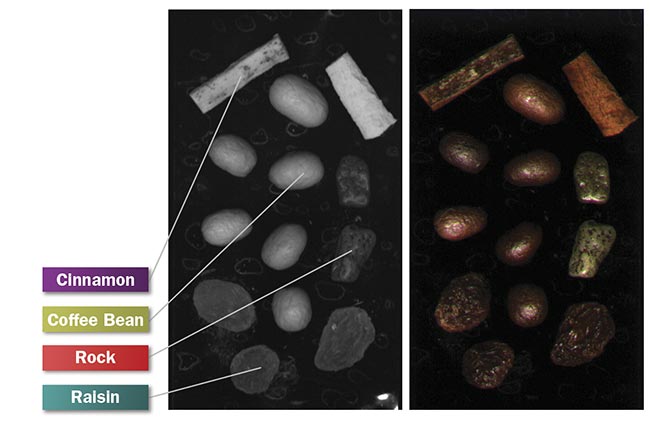 Imaged with SWIR, objects that appear similar in the visible range can be distinguished based on their relative moisture content. Courtesy of Teledyne DALSA.